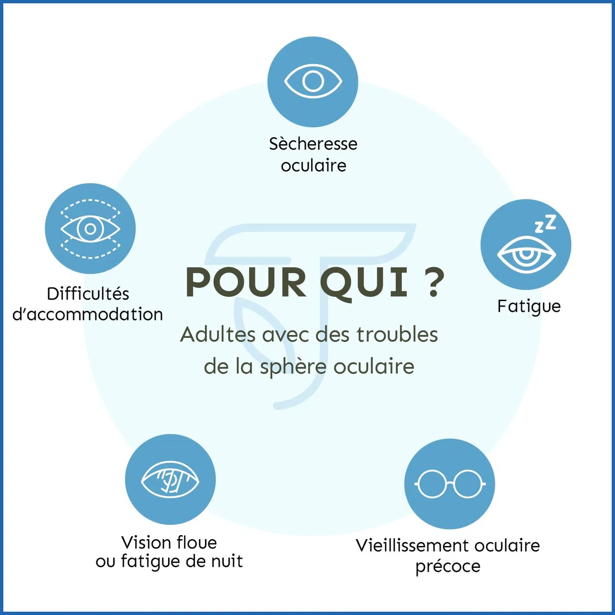 COMPLEXE VISION | Complément Alimentaire Yeux Secs et Fatigués | Acide Hyaluronique Breveté, Lutéine, Zéaxanthine, Myrtille, Vitamines et Zinc Bisglycinate | 60 Gélules | Made in France | Terravita