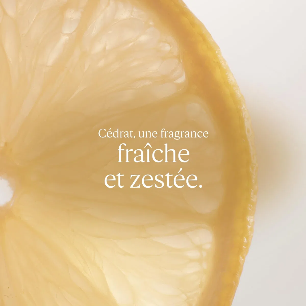 L'OCCITANE - Gel Crème Après-Rasage Eau de Cedrat - 75 ml - Fabriqué en France