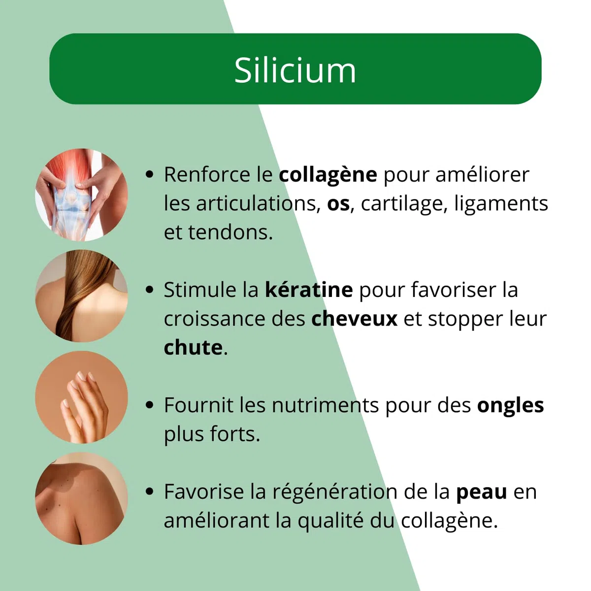 Silicium Glucosamine Chondroïtine MSM - 1000 ml - Sans paraben, sans lactose, sans arôme, sans OGM.