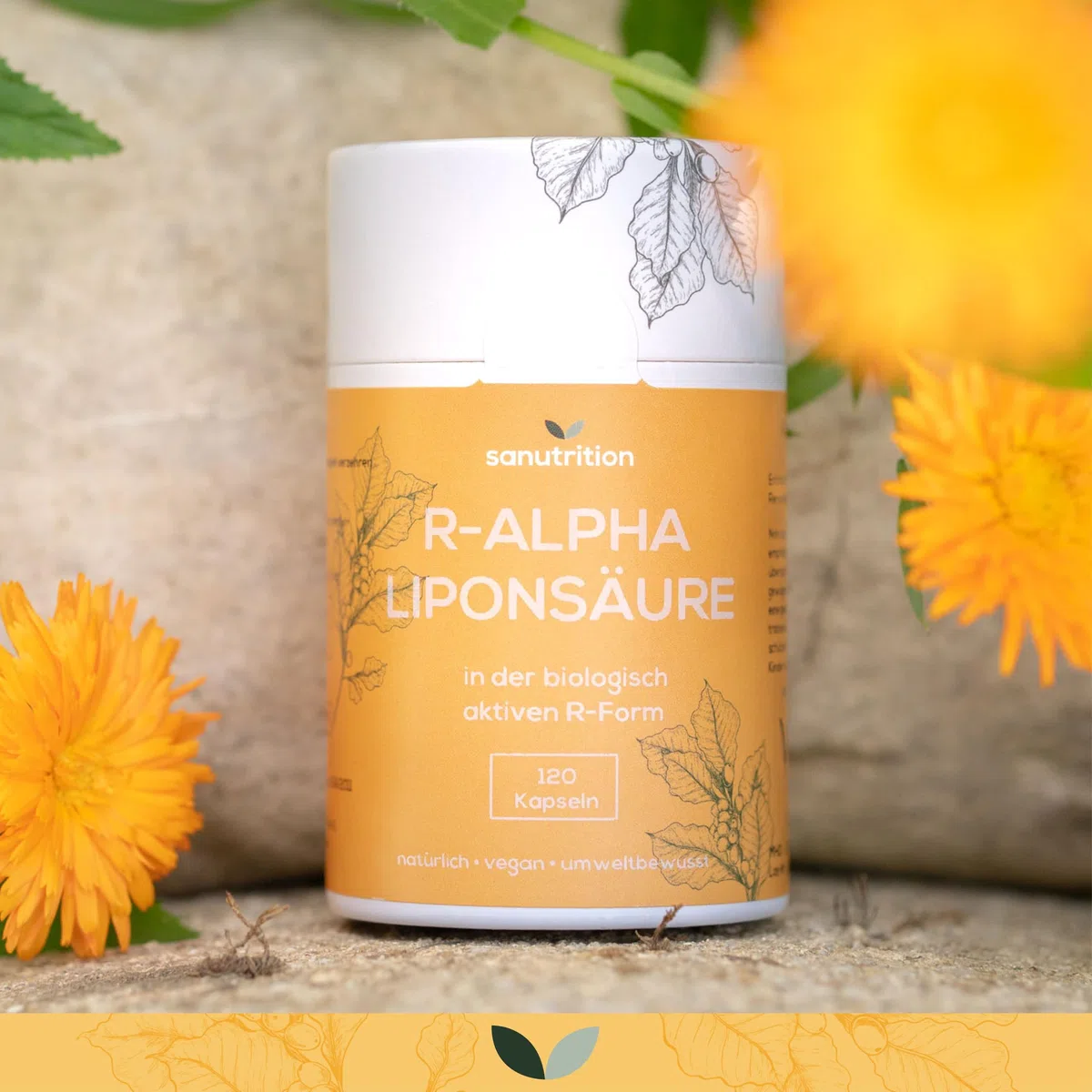 Acide R-alpha-lipoïque 400 mg par capsule | 120 capsules | Hautement dosé | En biodisponibilité particulièrement élevée | Végétalien | Emballage papier 100% écologique