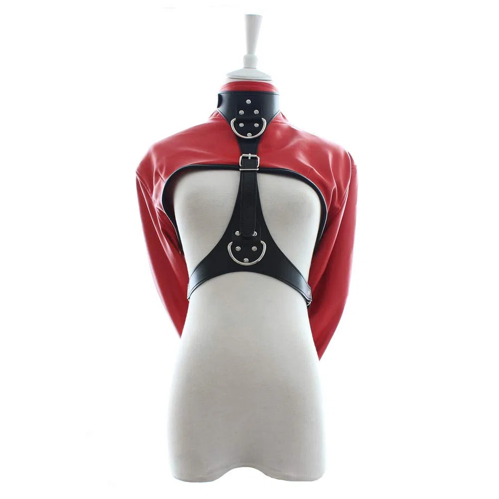 Monogant BDSM Armbinder Sac de restraint Menottes (Rouge)