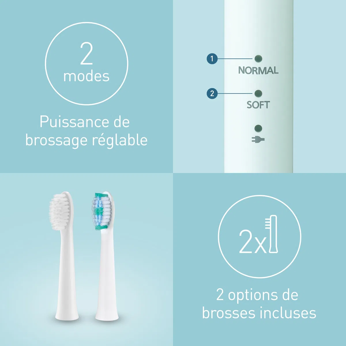 Panasonic EW-DM81-G503 Brosse à dents électrique, 2 têtes incluses, minuteur, 2 modes de fonctionnement, design ergonomique, 31 000 mouvements par minute, vibrations sonores, vert