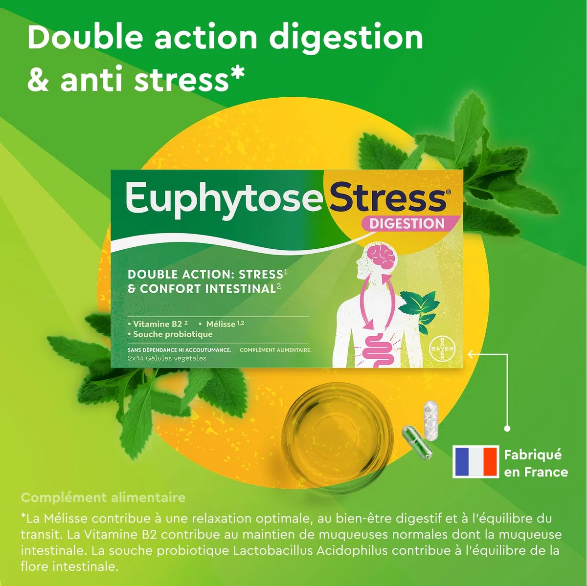 Euphytose Digestion & Anti Stress - Double Action Infoncort Intestinal & Anti Stress Adulte - Complément Alimentaire - Probiotique Flore Intestinale & Détox - Maxi Format 56 Gélules programme 1 Mois