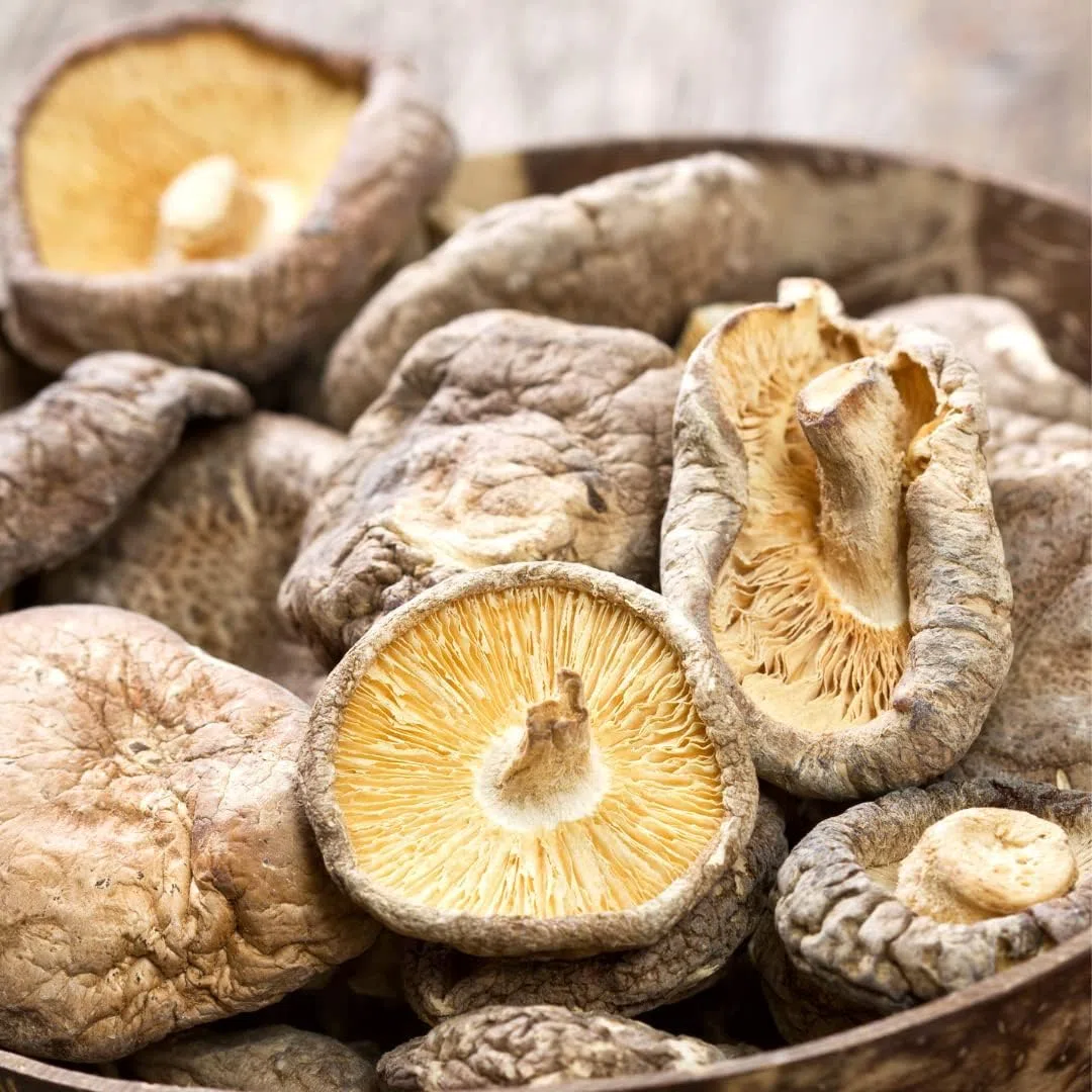 Shiitake Bio Champignons 200g, Champignon Shiitake Séchés Biologiques pour la Cuisine