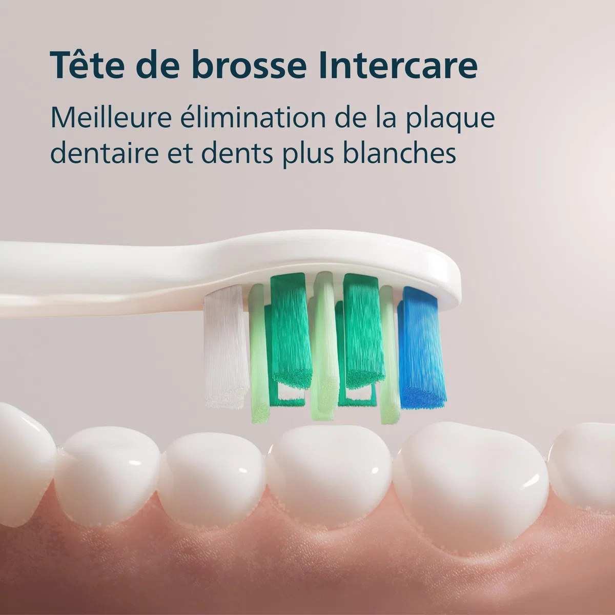 Philips Sonicare série 2100 – Brosse à dents électrique, brosse à dents sonique avec 2 niveaux d’intensité, EasyStart, SmarTimer, 14 jours d’autonomie, coloris blanc, modèle HX4021/01, [Nouveau]