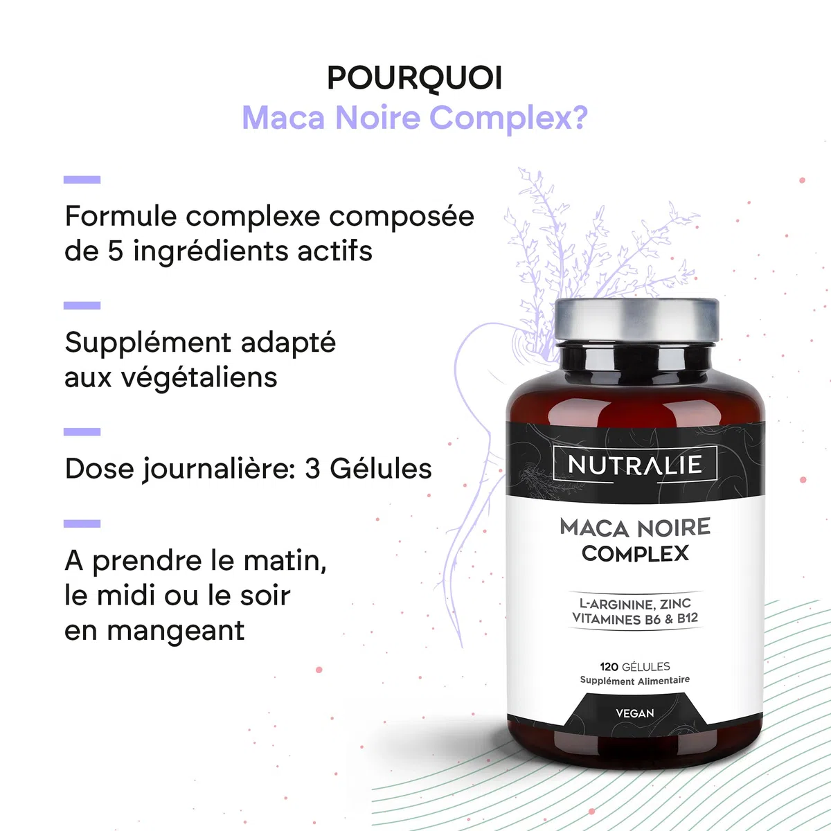 Maca Negra Andina 32 000 mg - Puissance 20:1 et Énergie avec L-Arginine Zinc B6 B12 - Macapéruvienne pour hommes et donnes - 120 gélules Black Maca Complex Nutralie