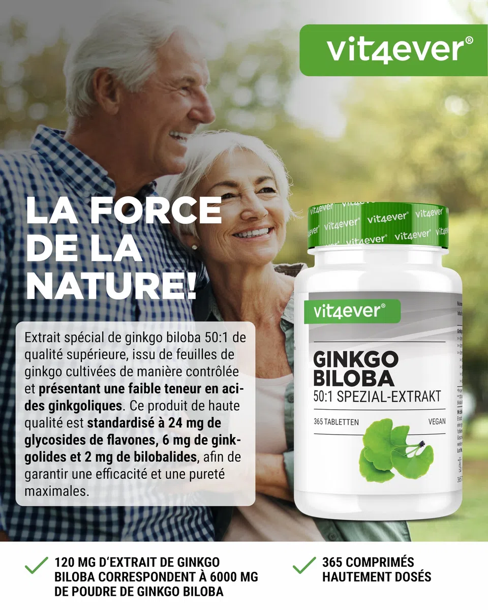 vit4ever Ginkgo Biloba 6000 mg - 365 Comprimés – Extrait Premium : avec Flavonoglycosides + Ginkgolides-Lactones Terpéniques & sans Acide Ginkgolique - Hautement Dosé – Vegan