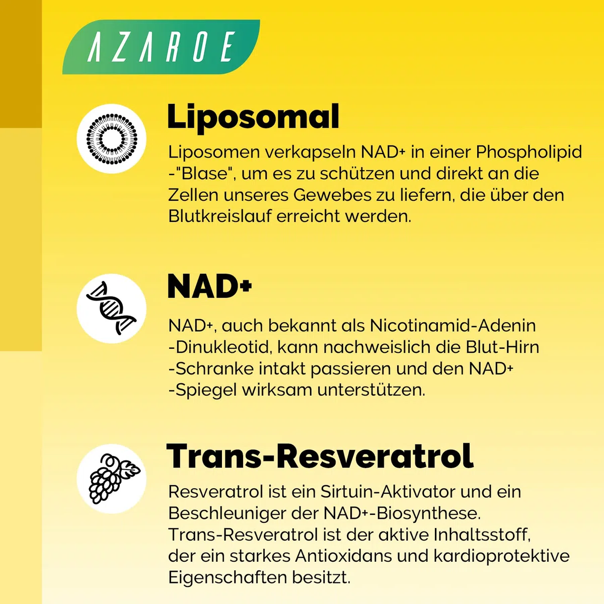 Liposomal NAD+ & Trans-Resveratrol 800mg Softgels – Alternative au NMN – Haute Absorption – Supplément Réel en NAD+ pour la Réparation Cellulaire (60 Unité (Lot de 4))