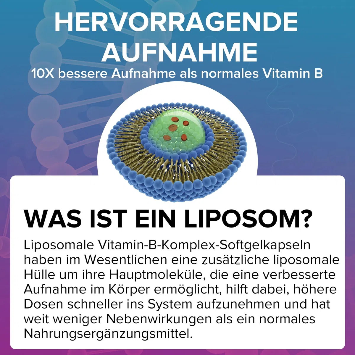Complexe de Vitamine B, Vitamine B Complex Liposomales - 9 Vitamines B Méthylées pour Une Absorption Facile, Fourniture de 90 Jours (Lot de 1)
