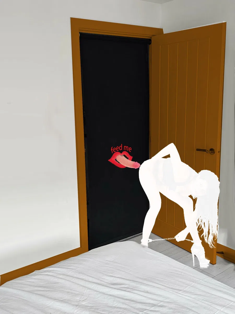 Meuble sexuel avec ouvertures de porte Meuble BDSM Rideau de porte Balançoires érotiques Séparateur de pièce Paravent Jeux sexuels pour couples