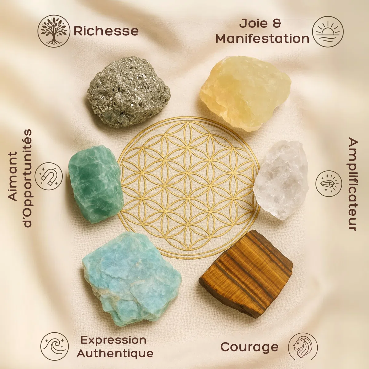 ANIMA Coffret en Pierres Précieuses d’Abondance pour Prospérité, Chance & Succès – Cristaux Naturels Bruts: Citrine, Pyrite, Œil de Tigre, Aventurine, Amazonite & Quartz Clair – Boîte Cadeau en Bois