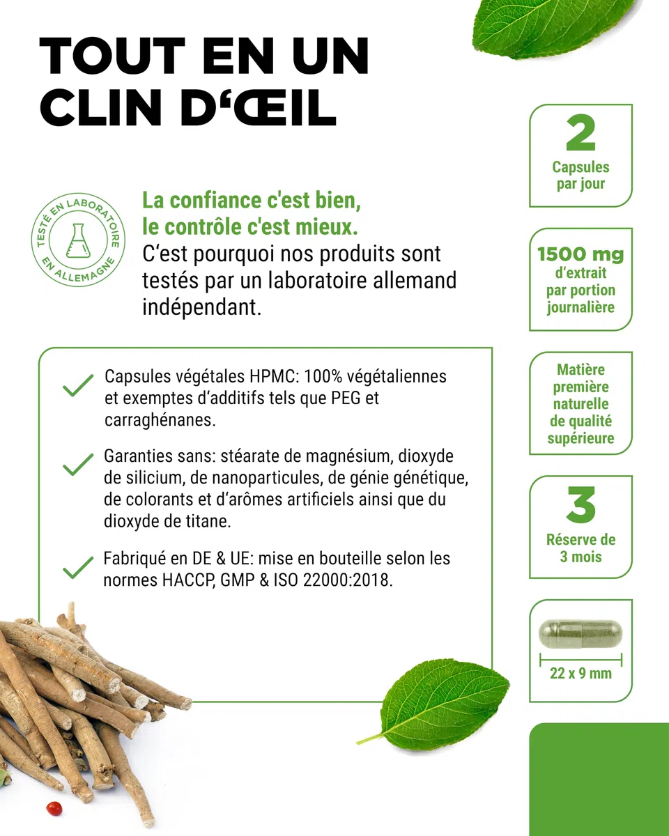 Extrait d’Ashwagandha – 180 Capsules contenant chacune 750 mg d’Extrait pur de Racine et 10% de Withanolides – Haute Pureté – Végan – Hautement Dosé – Qualité Premium