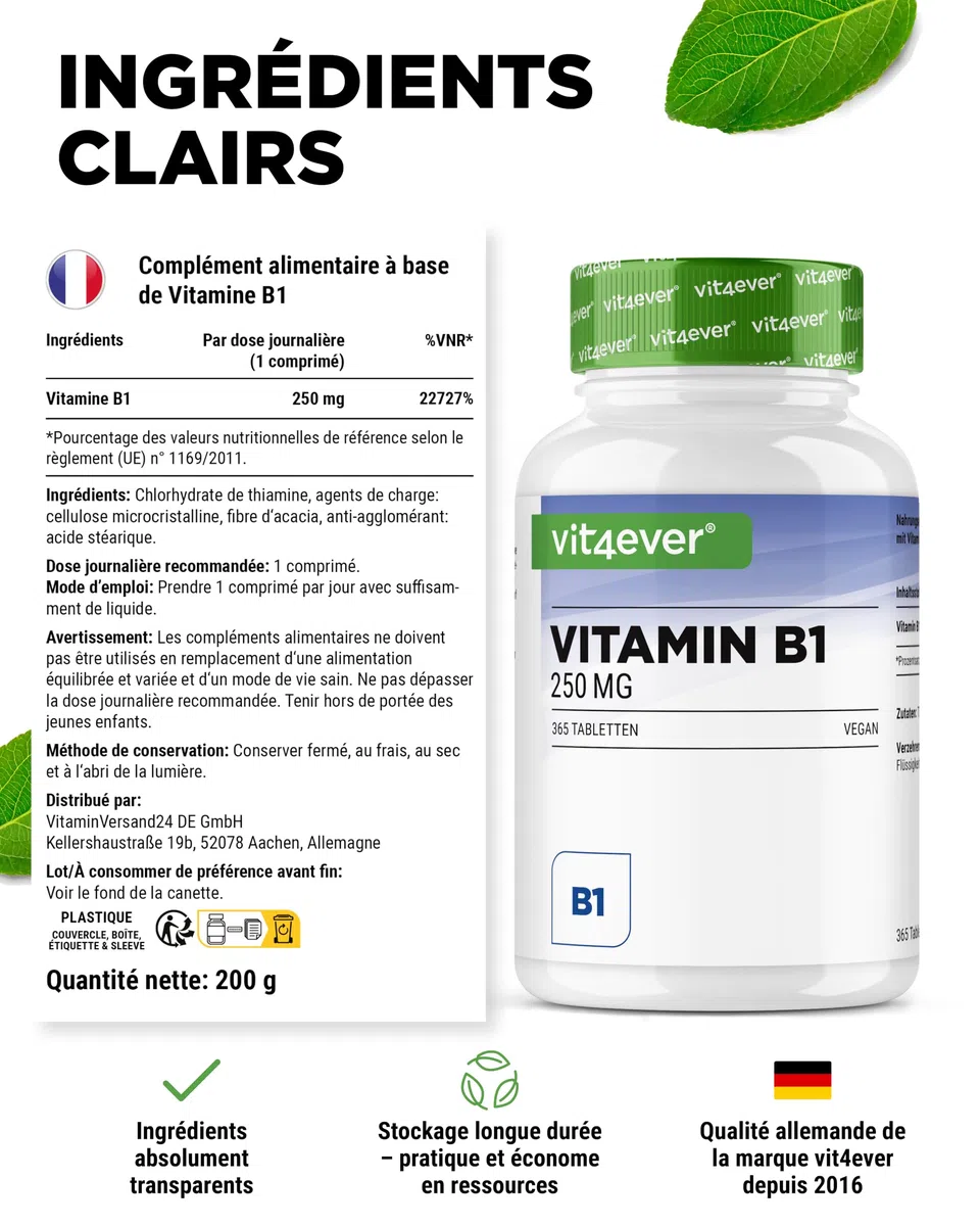 Vitamine B1 (Thiamine) - 250 mg - 365 Comprimés - Premium : Thiamine Hydrochloride - Haute biodisponibilité - Réserve de 12 mois - Sans additif indésirable - Vegan