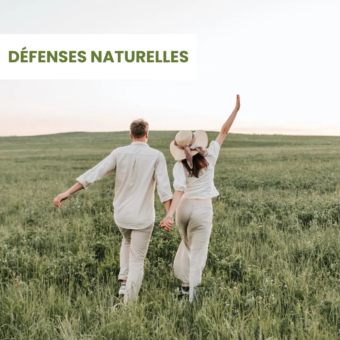 ASCORBATE DE SODIUM 100% pur - Pot 1 KG - Le Pré Vert - Energie - Immunité - Antioxydant