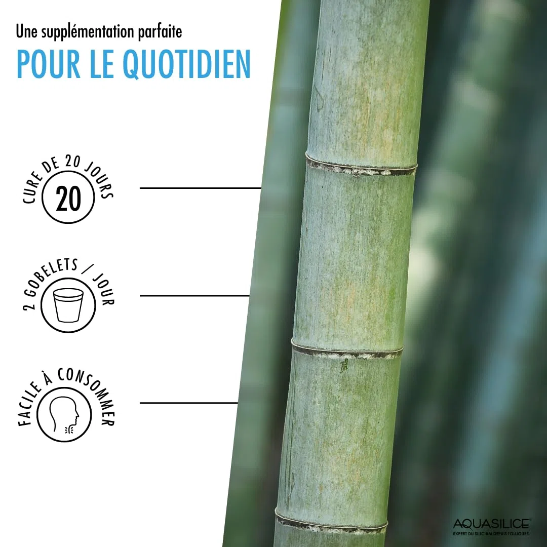 Silicium Source Végétale - 1L