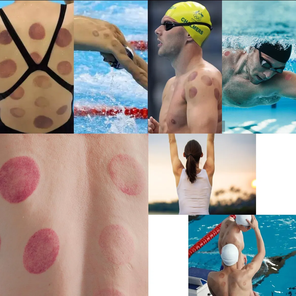 Cupping Therapy Ventouse Chinoise, 18 Pcs Ventouses Set pour Visage et Corps, Professionnelles Anti Cellulite et Détendre Muscles, avec des Aimants de Points D'acupression (18PCS)
