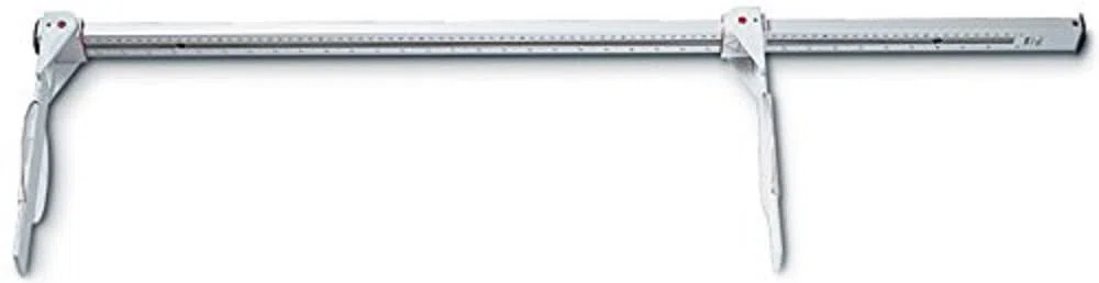 seca Bébé Pèse-personne Mécanique Rod 0-99 cm 0-39 Pouce Argenté