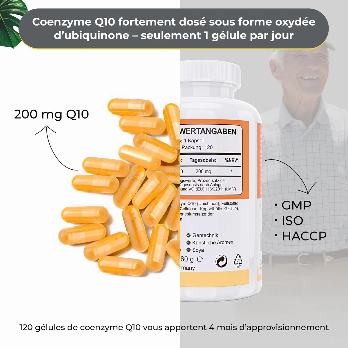 Complément de Coenzyme Q10 Hautement Concentré - Végan - 200 mg de Coq10 par Gélule - 120 Gélules - 4 Mois de Cure - Fabriqué en Allemagne