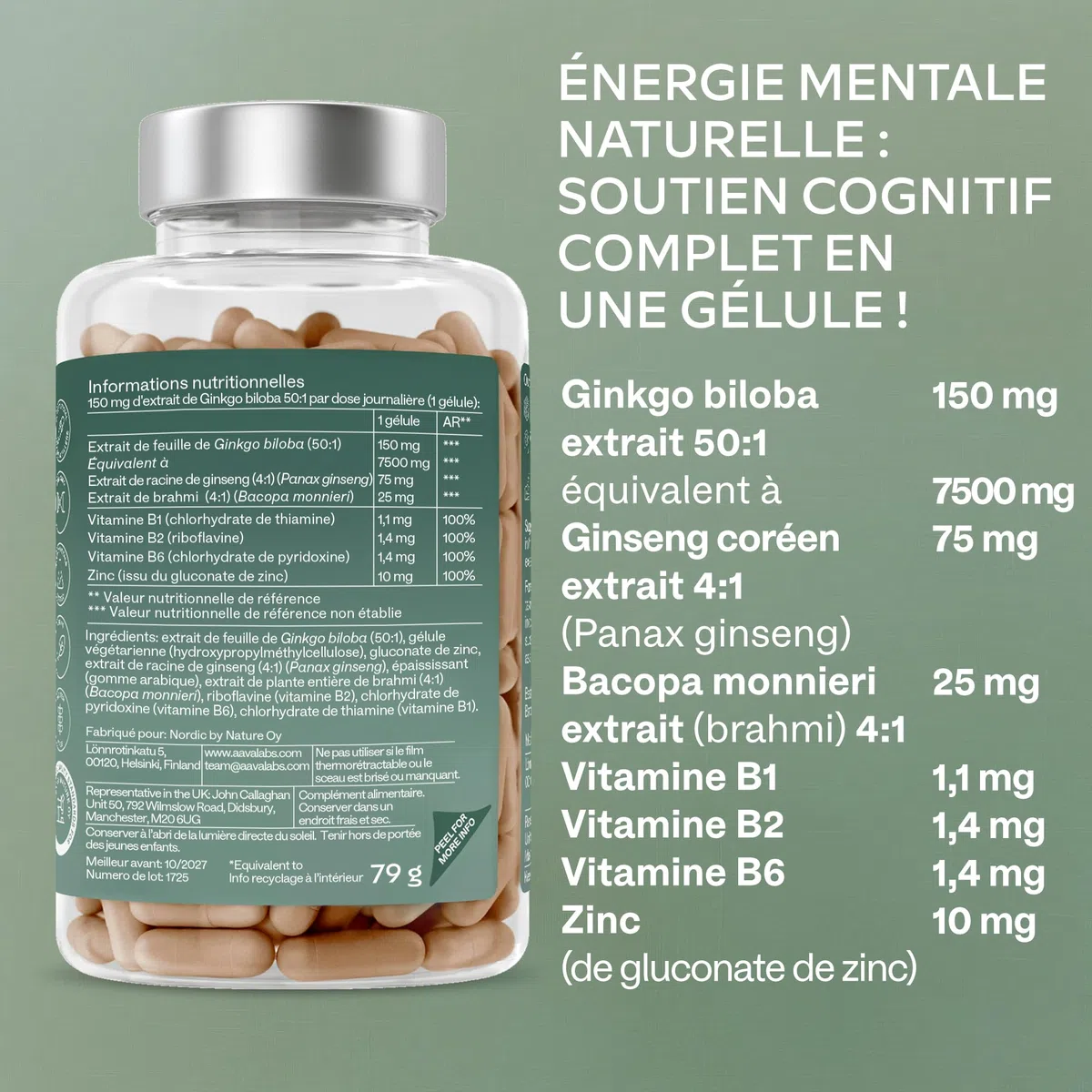 Ginkgo Biloba 7500mg 50:1 avec Panax Ginseng Rouge de Corée, Bacopa Monnieri, Zinc, Vitamine B Complex - Nootropique Puissant Circulation Sanguine, Memoire et Concentration, Energie - 180 Capsules