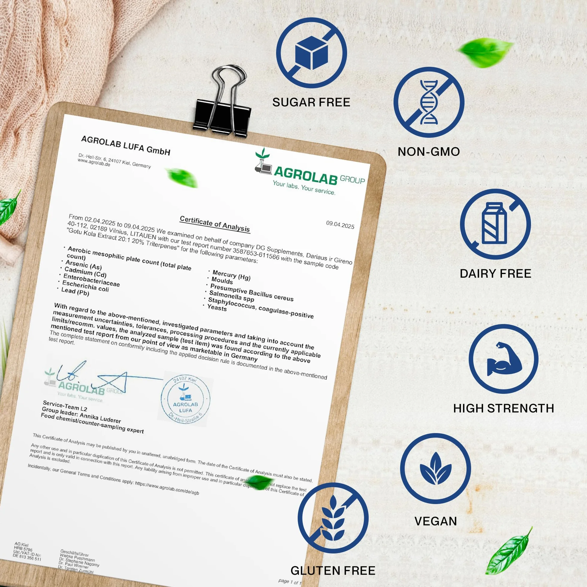 Hepatica Gotu Kola (Centella Asiatica) 5.000 mg Équivalent | Extrait 20:1 250 mg Standardisé à 20% de Triterpènes | 90 Gélules Véganes | Réserve 3 Mois | GMP & laboratoire indépendant