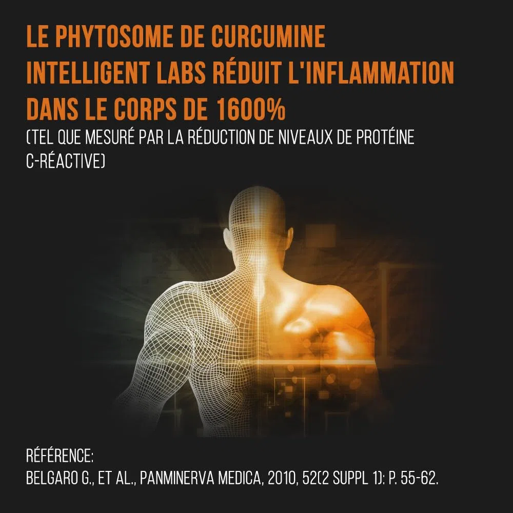 Intelligent Labs Meriva Phytosome de Curcumine 250 MG | Supplément de curcumine de curcuma à absorption avancée (2900% mieux absorbé que le curcuma ordinaire) | 120 gélules végétariennes