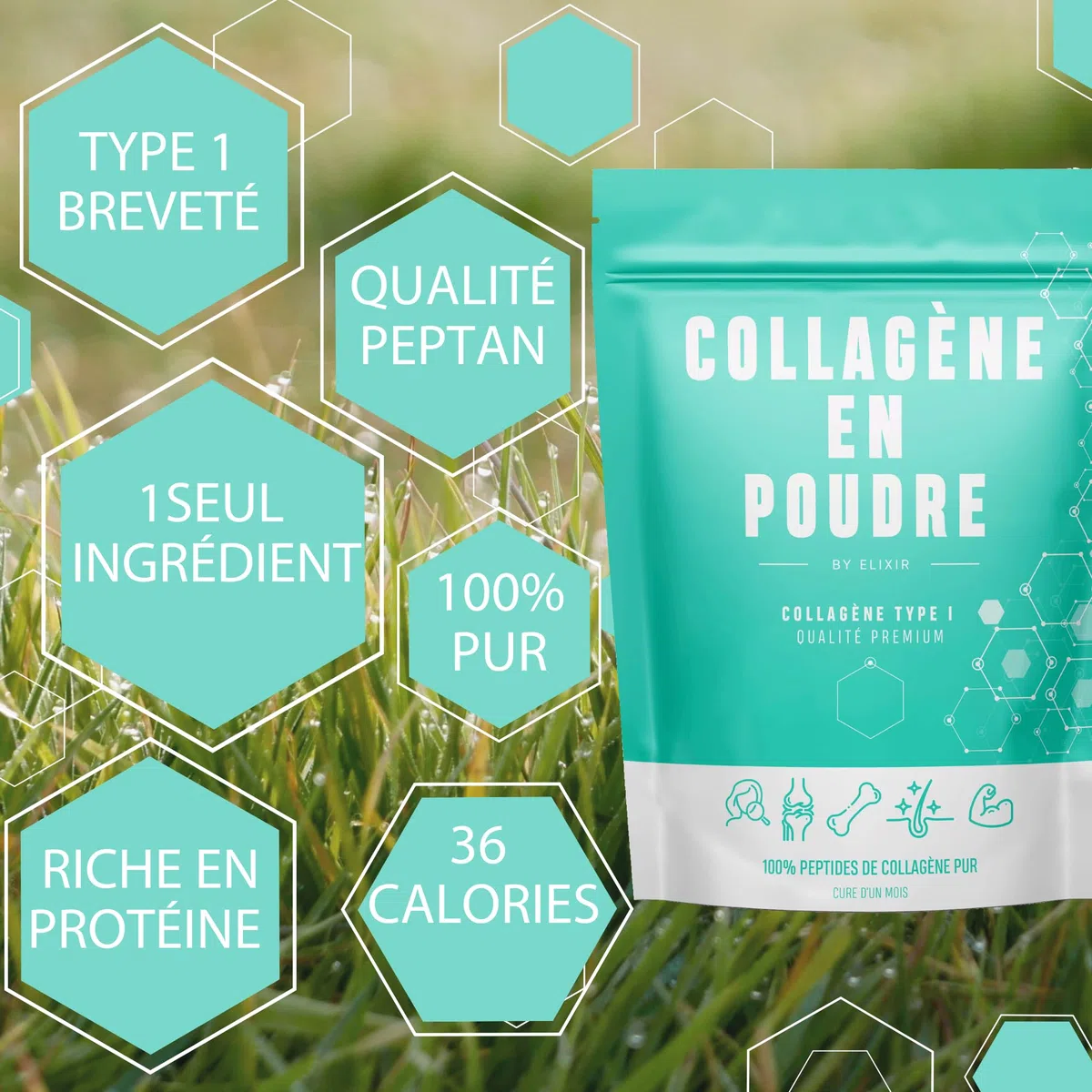 Collagène Hydrolysé Breveté Pepan Type I en poudre - 310g Proteine pour la Peau, Cheveux, Musculation, Articulations - Élaboré en France.