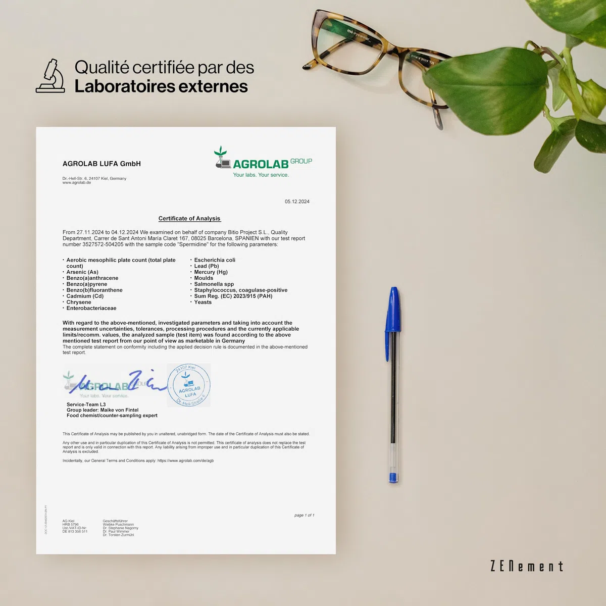 Spermidine - 6 mg par gélule avec Vitamine B1 et Zinc - Haute Dose - 120 Gélules - Extrait 100% Naturel de Germe de Blé - 6 Mois d'approvisionnement - Végan, Sans Additifs, Sans OGM - Zenement