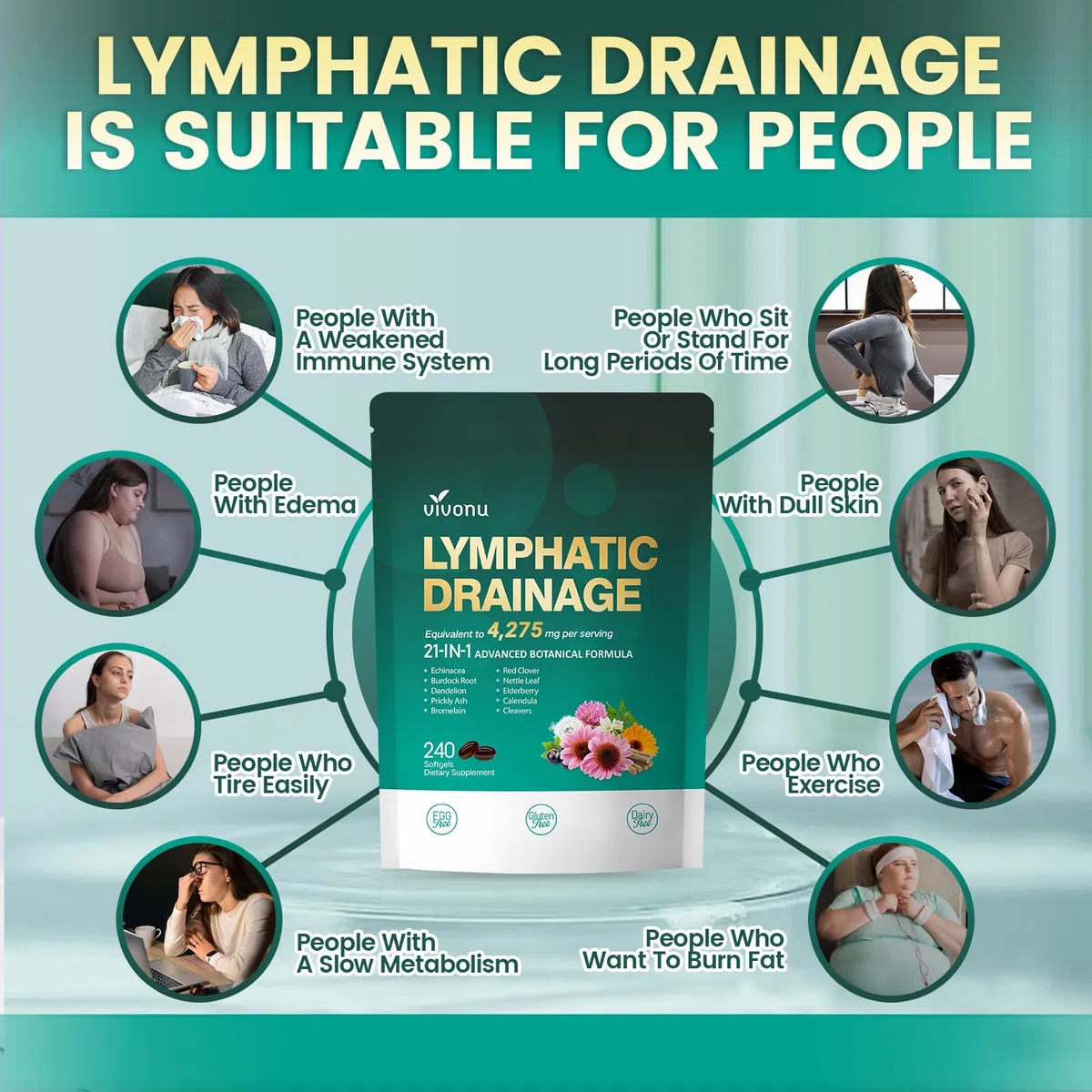VivoNu Lymphatique 240 pcs - Soutient l'Absorption Système Immunitaire - l'Équilibre et le Bien-Être - Contre Jambes Lourdes - 100% Naturel - Sans OGM