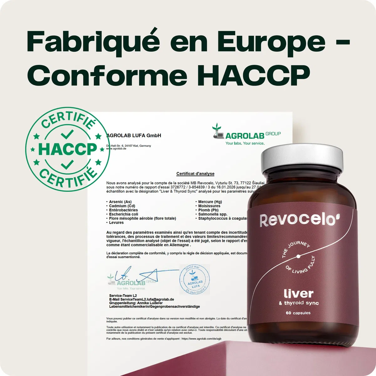 TUDCA 300 mg – Complexe Foie & Thyroïde | Avec Chardon-Marie, Choline, Glutathion Liposomal & Sélénium, 60 Gélules, Fabriqué dans l’UE