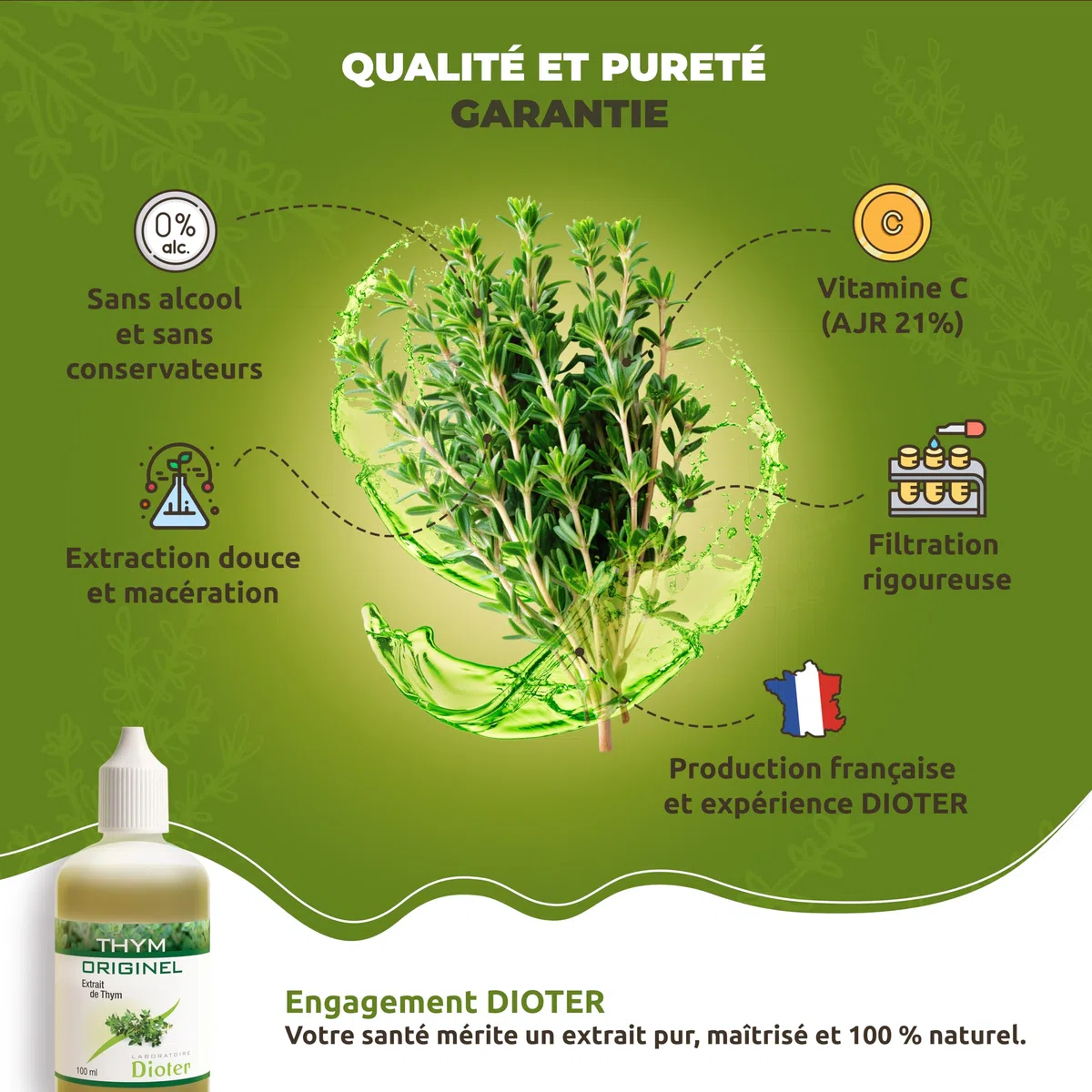 Thym Originel – Extrait concentré de Thym 100 ml, Sans Alcool, 100% Naturel – Soutien Respiratoire & Immunité