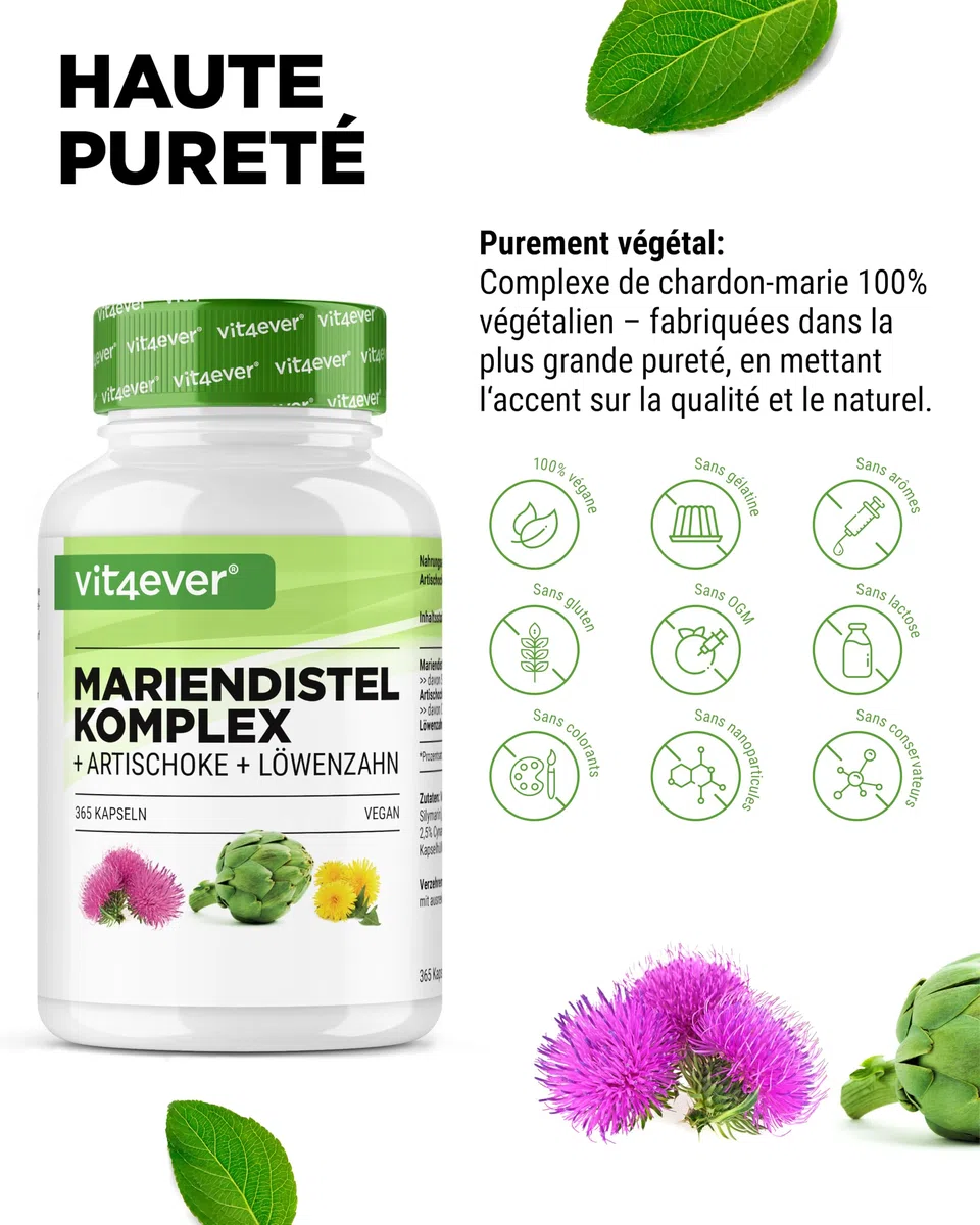 Chardon-Marie Artichaut Pissenlit Complexe - 365 capsules (6 Mois d'Approvisionnement) - Hautement Dosé avec 80% de Silymarine & 2,5% de Cynarine - Vegan