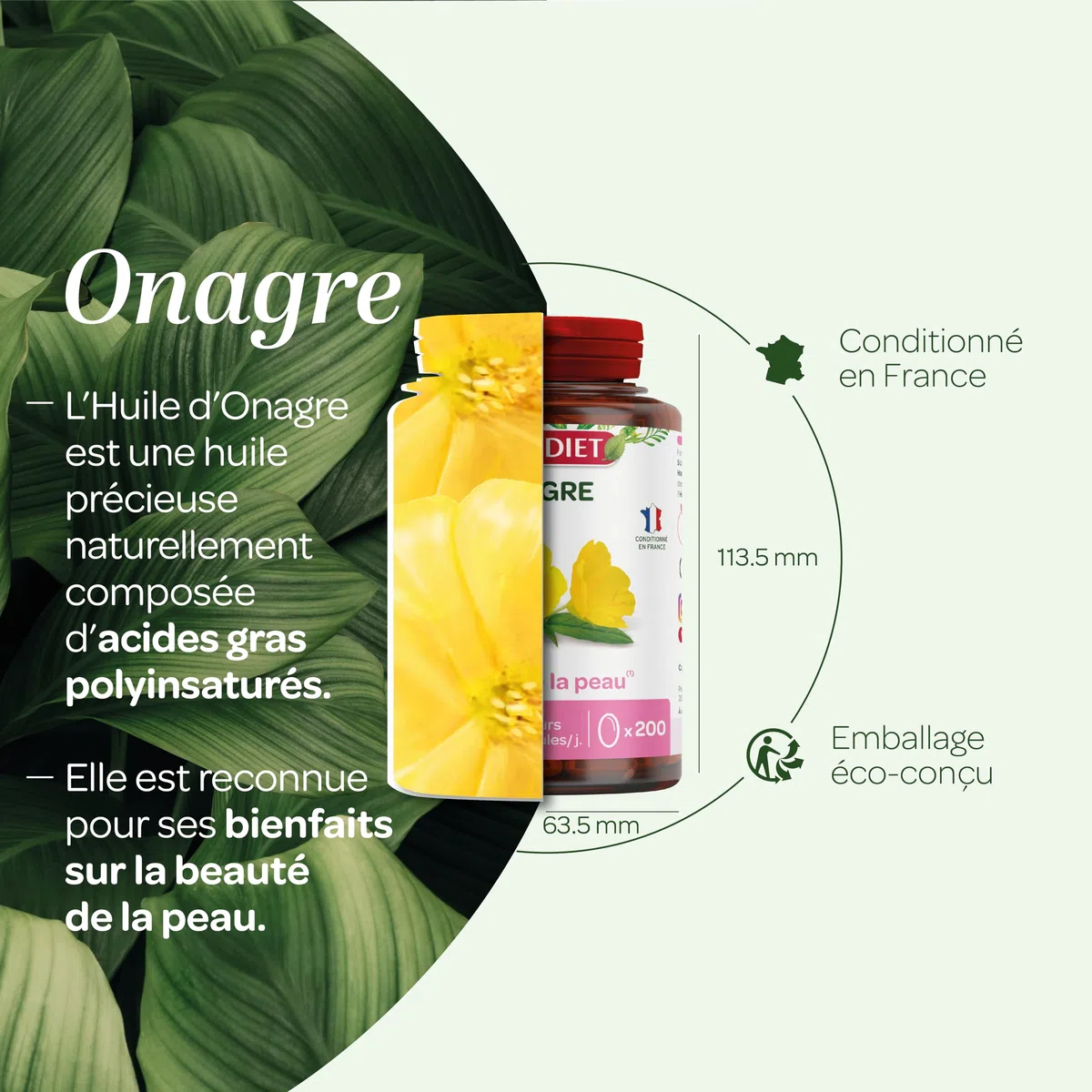 SUPERDIET –HUILE D'ONAGRE – Beauté de la peau – Phytothérapie – Conditionné en France – 200 capsules
