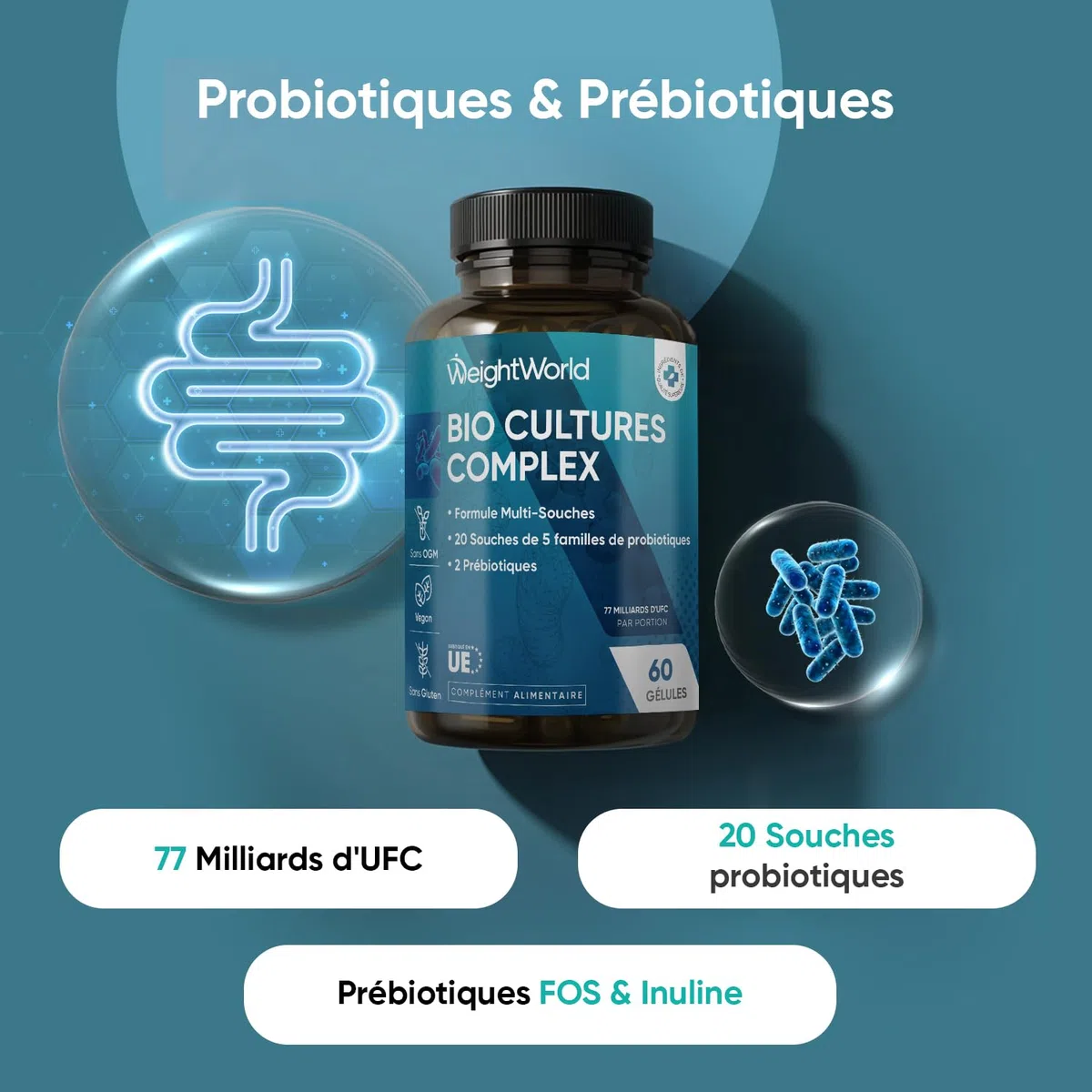 Probiotique Flore Intestinale 77 Milliards d'UFC - 20 Souches, Probiotiques et Prébiotiques Lactobacillus Gasseri, Lactobacillus Rhamnosus, Bifidobacterium, Inuline, FOS, 60 Gélules Vegan sans Gluten