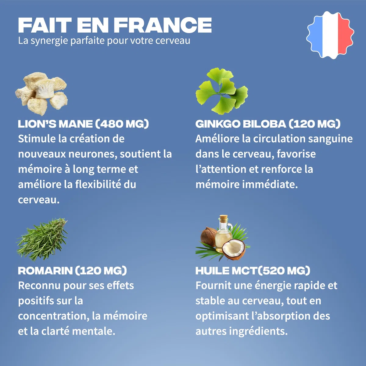 Focus Améliore Concentration & Clarté Mentale - Lion's Mane, Ginkgo Biloba, Romarin, Huile MCT - Fabriqué en France - Vitamines & Minéraux - Adaptogènes Naturels - Vegan, Sans Gluten