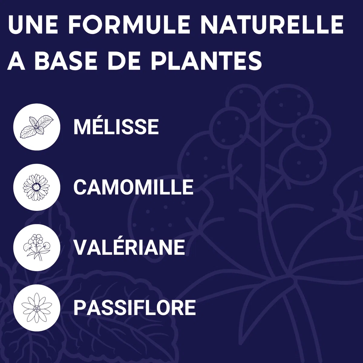 FORMULE NUIT | Mélatonine 1,9 mg + Plantes : Valériane, Mélisse, Camomille, Passiflore | Complément Alimentaire pour Dormir 100% Naturel | 60 nuits de Sommeil Naturel | Fabriqué en France