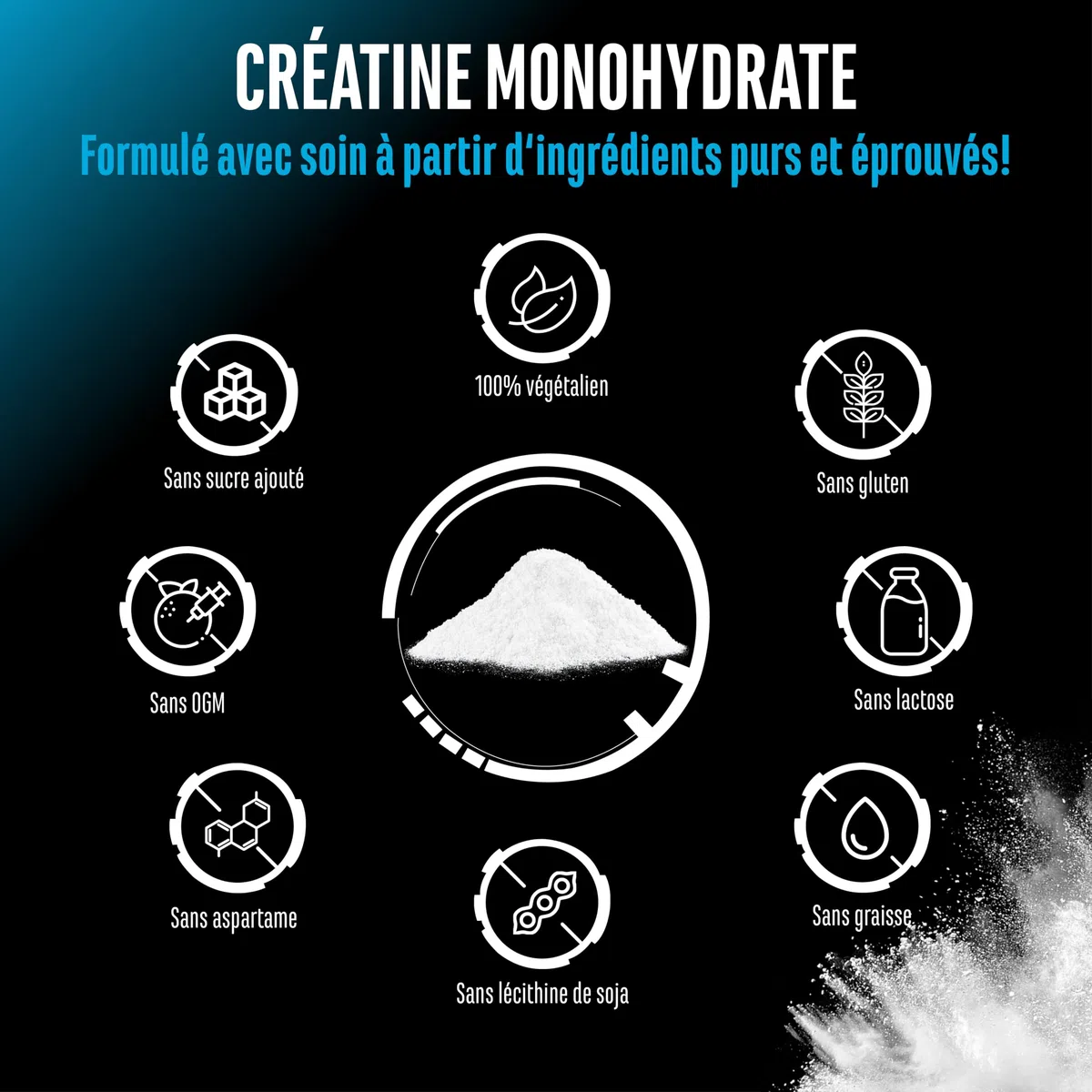Créatine Monohydrate en Poudre 1000 g – Créatine Monohydrate Microfine, Très Soluble et Fortement Dosée – sans Additifs Inutiles – Vegan – 293 Portions