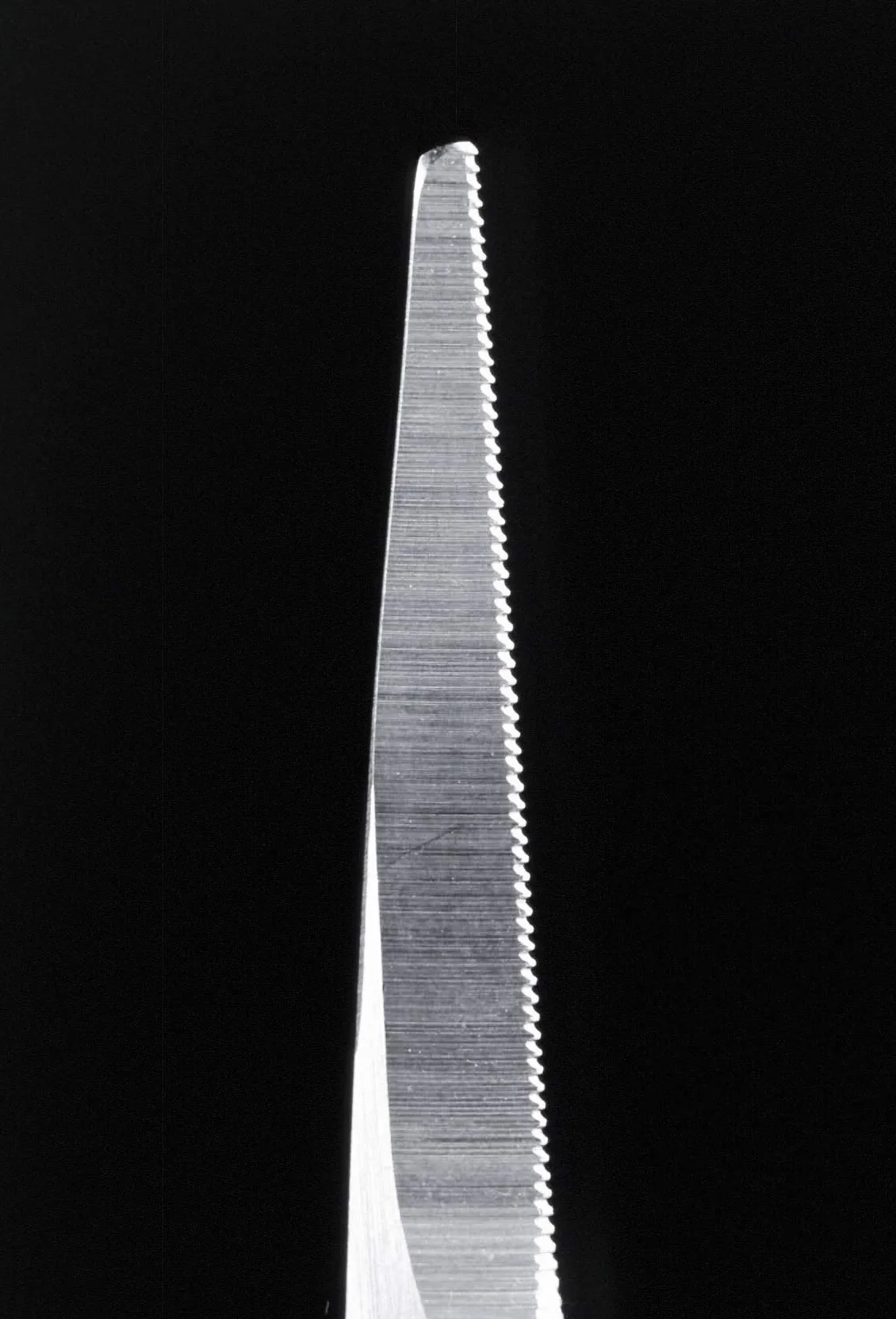 Seki EDGE SS-902 | Made in Japan | Ciseaux à barbe dentelés | Ciseaux de précision ergonomiques en acier inoxydable | Lames fines affûtées à la main | 12,4 x 5,1 x 0,6 cm