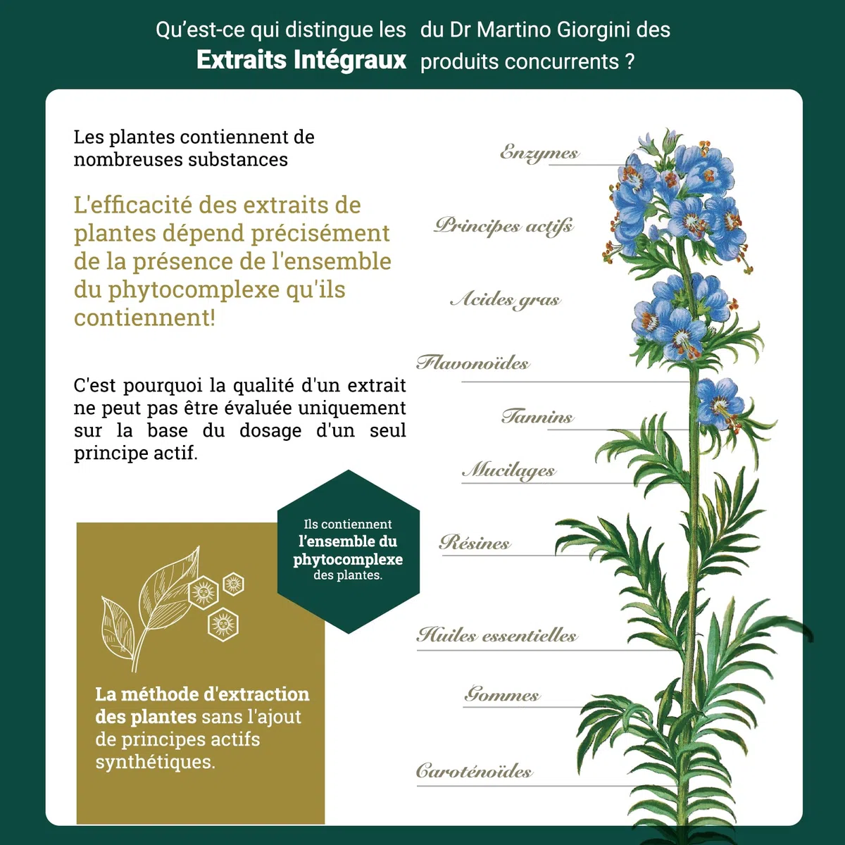 Dr. Giorgini Propolis Extrait Intégral – 200 Ml
