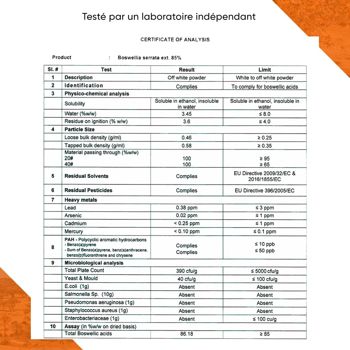 Boswellia Serrata 9400 mg 10 :1, 365 gélules, Pour 6 Mois, y compris le pilulier, 85% D'acide Boswellia, végétalien, qualité premium, testé en laboratoire, 100% de Boswelia Serrata Indien
