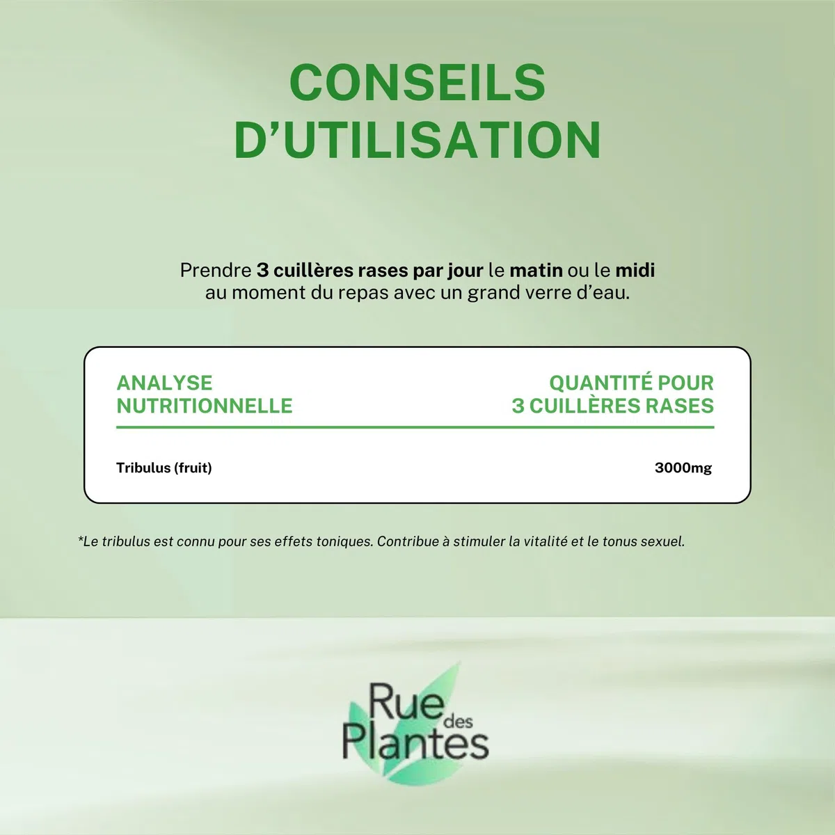 Rue Des Plantes - Tribulus Terrestris Poudre 500g | Complément Alimentaire pour Booster Énergie, Performance et Tonus Musculaire | Made in France