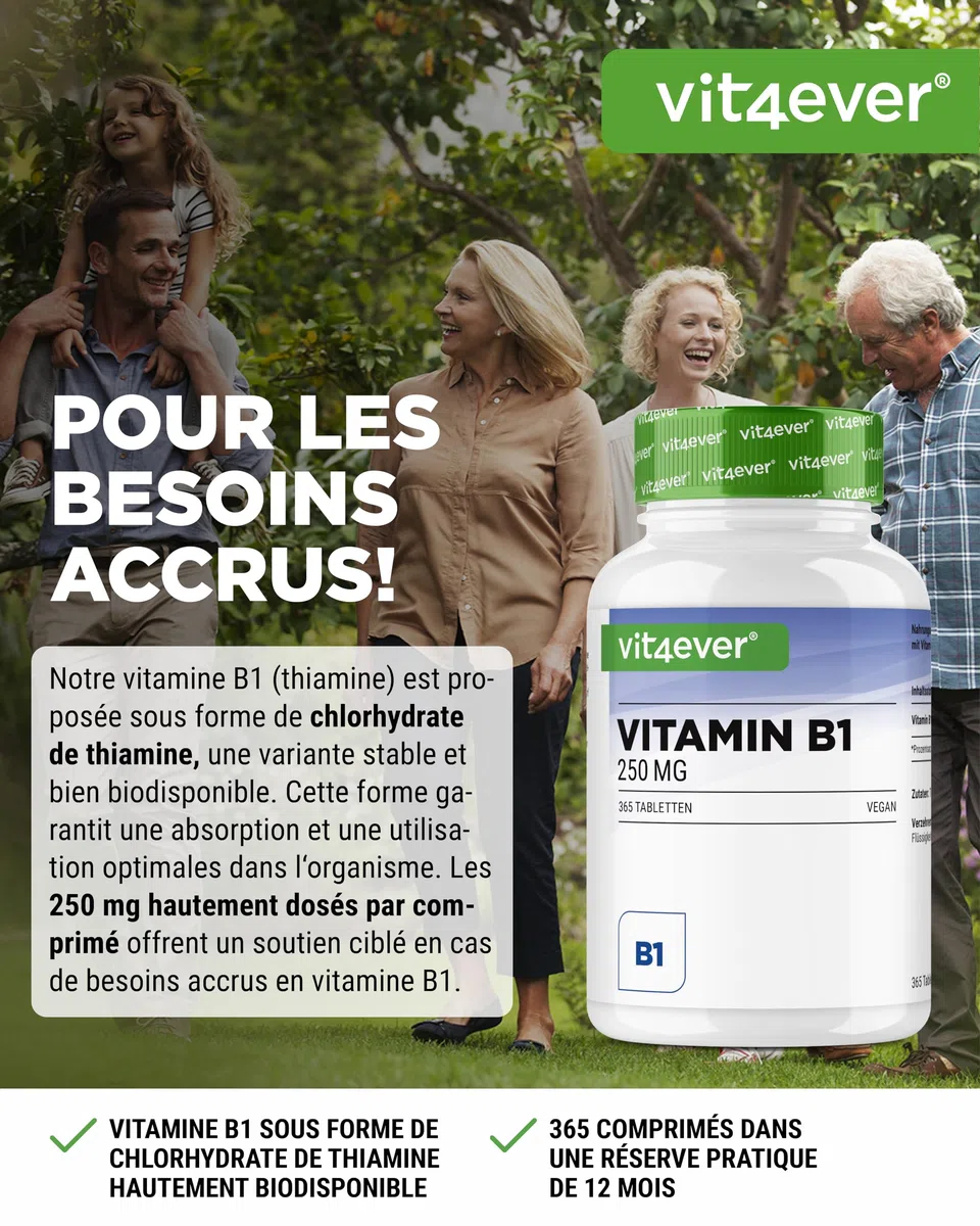 Vitamine B1 (Thiamine) - 250 mg - 365 Comprimés - Premium : Thiamine Hydrochloride - Haute biodisponibilité - Réserve de 12 mois - Sans additif indésirable - Vegan