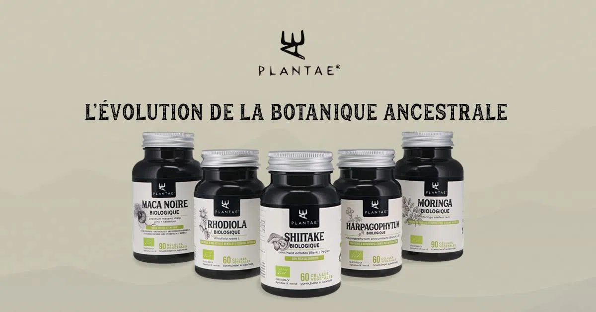 Maitake Bio * Plantae * 60 gélules végétales * Renforce le système immunitaire + Santé cardiovasculaire + Super-aliment *