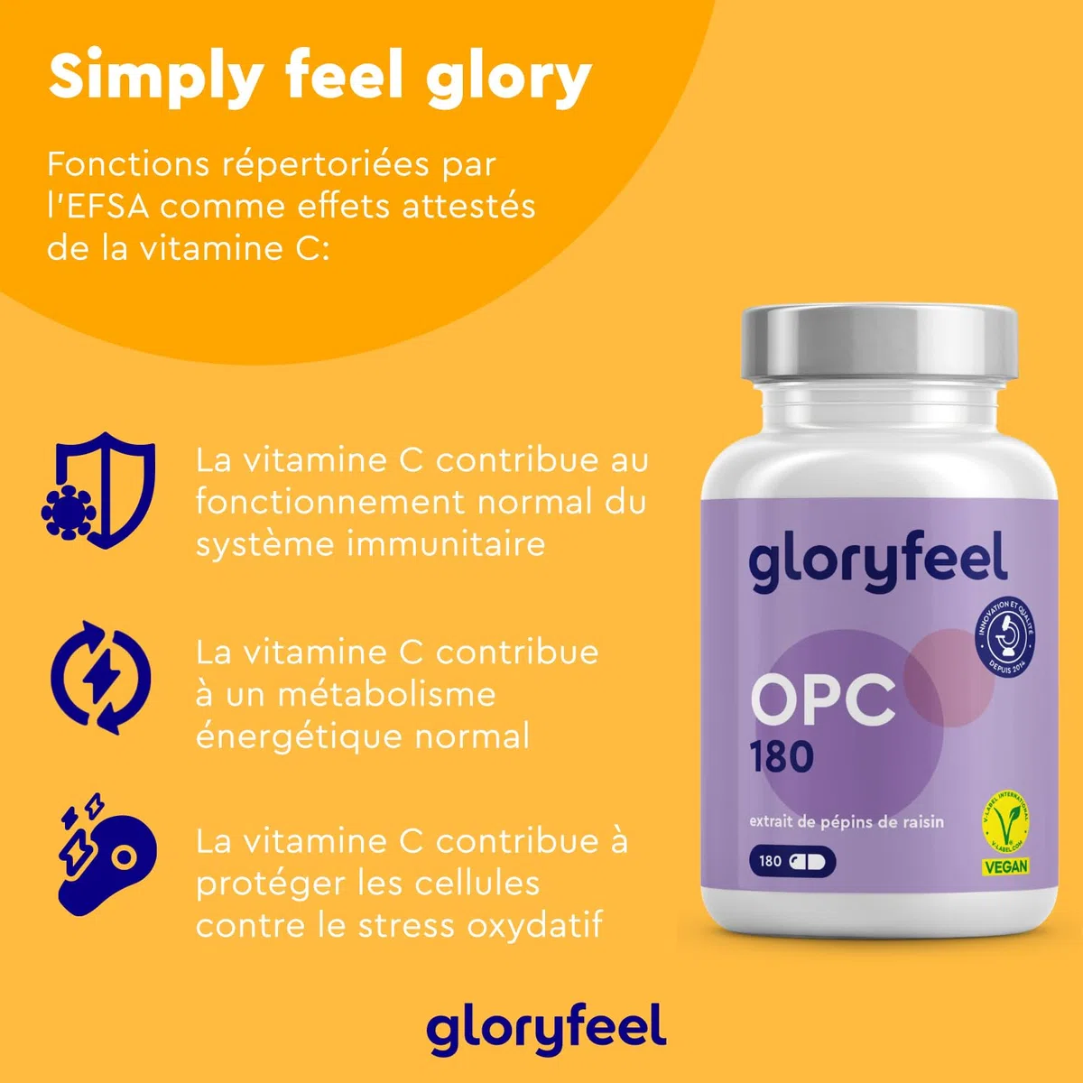 OPC 95% Extrait de Pépins de Raisin Resvératrol + Vitamine C, 1052mg d'OPC pur issu de Raisins Français - 180 Capsules Végétaliennes, Antioxydant Puissant, Proanthocyanidine Oligomérique