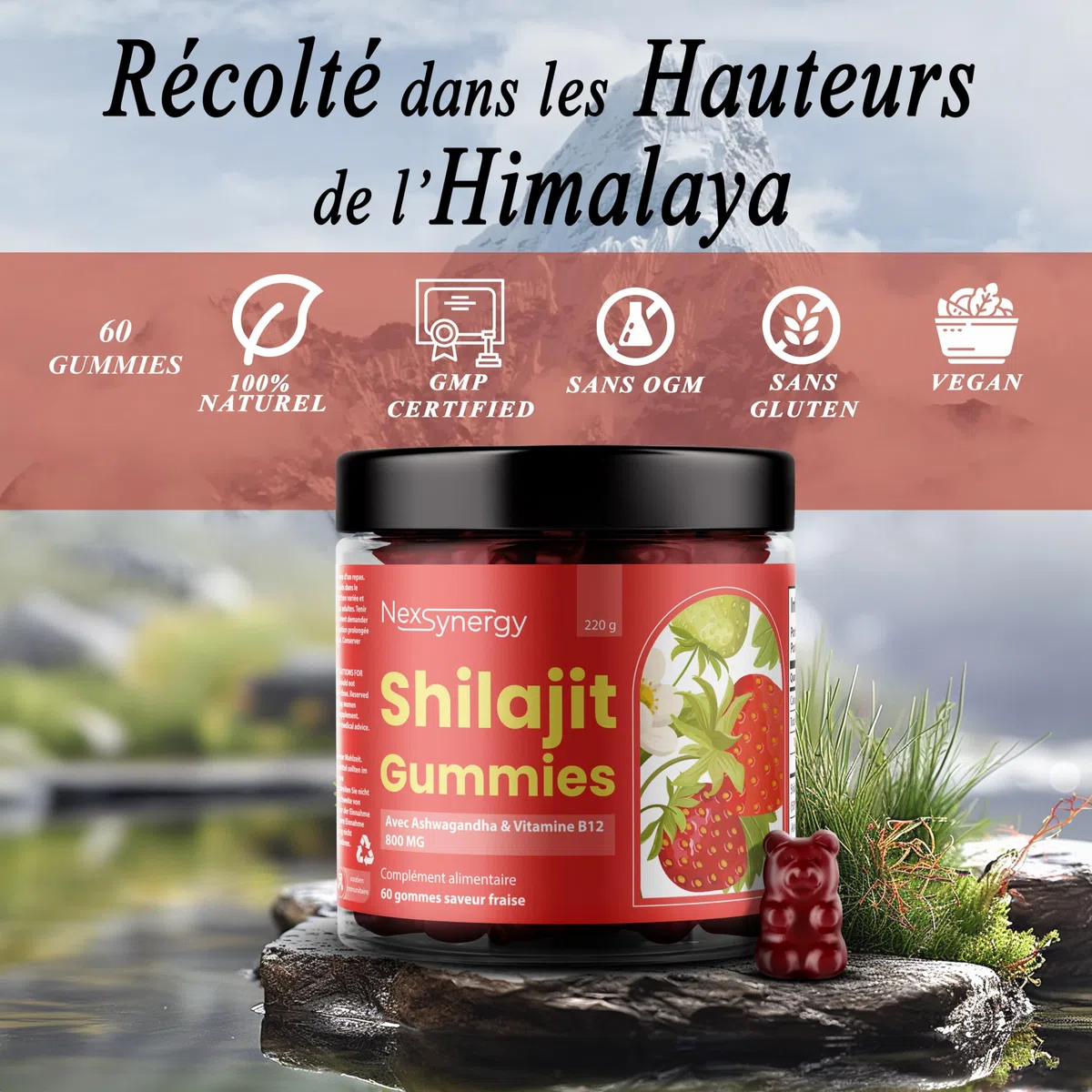 Gummies SHILAJIT avec ASHWAGANDHA et VITAMINE B12 | 800mg par Portion | 60 gommes Saveur Fraise | 50% d'Acide Fulvique | 100% Naturel, Végan et Sans Gluten