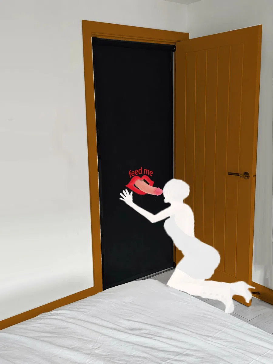 Meuble sexuel avec ouvertures de porte Meuble BDSM Rideau de porte Balançoires érotiques Séparateur de pièce Paravent Jeux sexuels pour couples