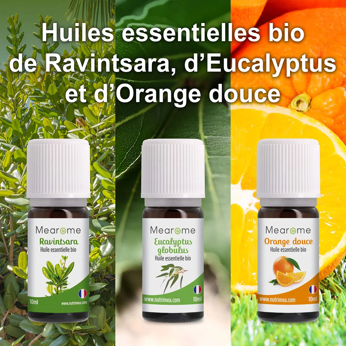 Coffret 8 x 10 ml Huiles Essentielles BIO distillées en FRANCE + Guide d'Aromathérapie PDF | HEBBD, HECT | Kit pour Cuisine, Diffuseur | Bienfaits Respiratoires, Encombrement, Digestion | Mearome