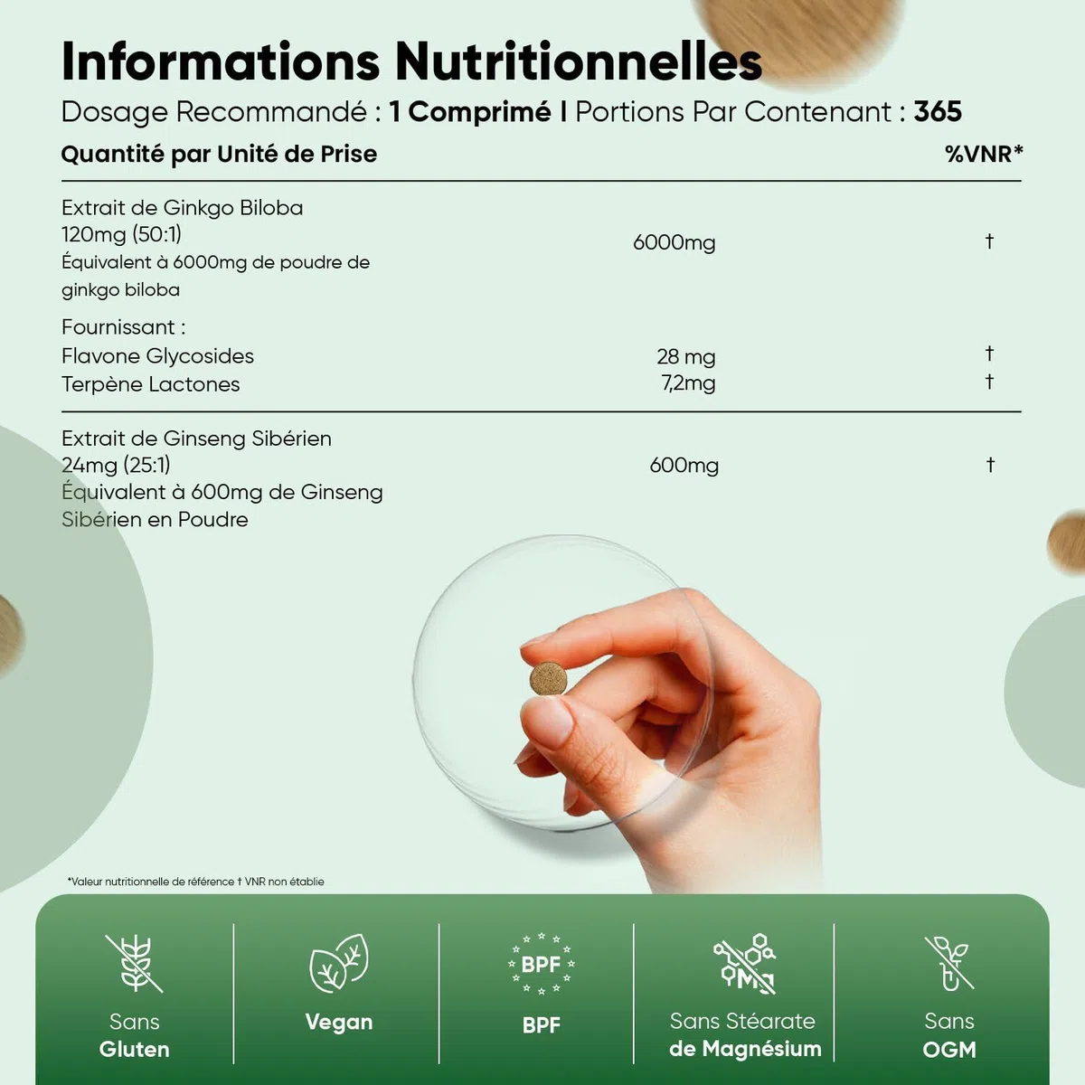 Ginkgo Biloba 6600mg avec Ginseng Sibérien, 365 Micro-Comprimés pour 1 An, Extrait de Ginko Biloba en Comprimés Vegan avec Flavones Glycosides & Terpènes Lactones, Sans Acide Ginkgolique et Sans OGM