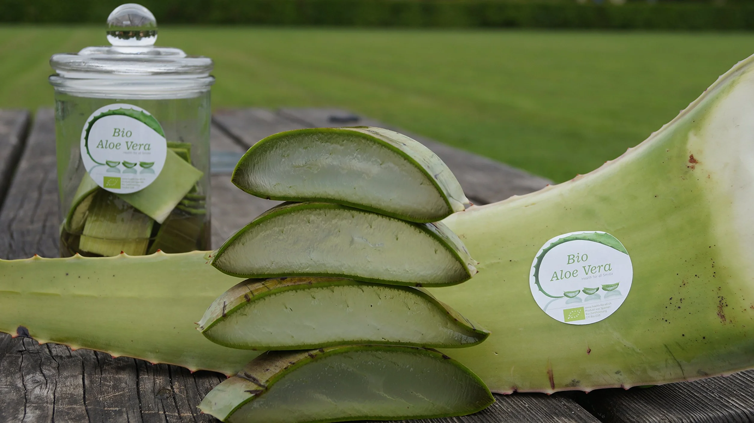 Meilleur feuille d'aloe vera bio 60 x 15 x 15 vert