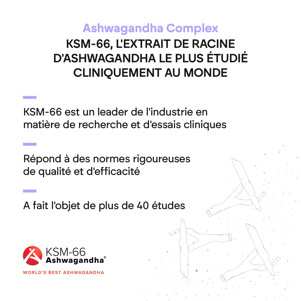 Ashwagandha KSM-66 Withanolides Rhodiola Rosea - Vit B6 B12 Ashwagandha BIO-disponible - 60 Gélules Végétalien Nutralie