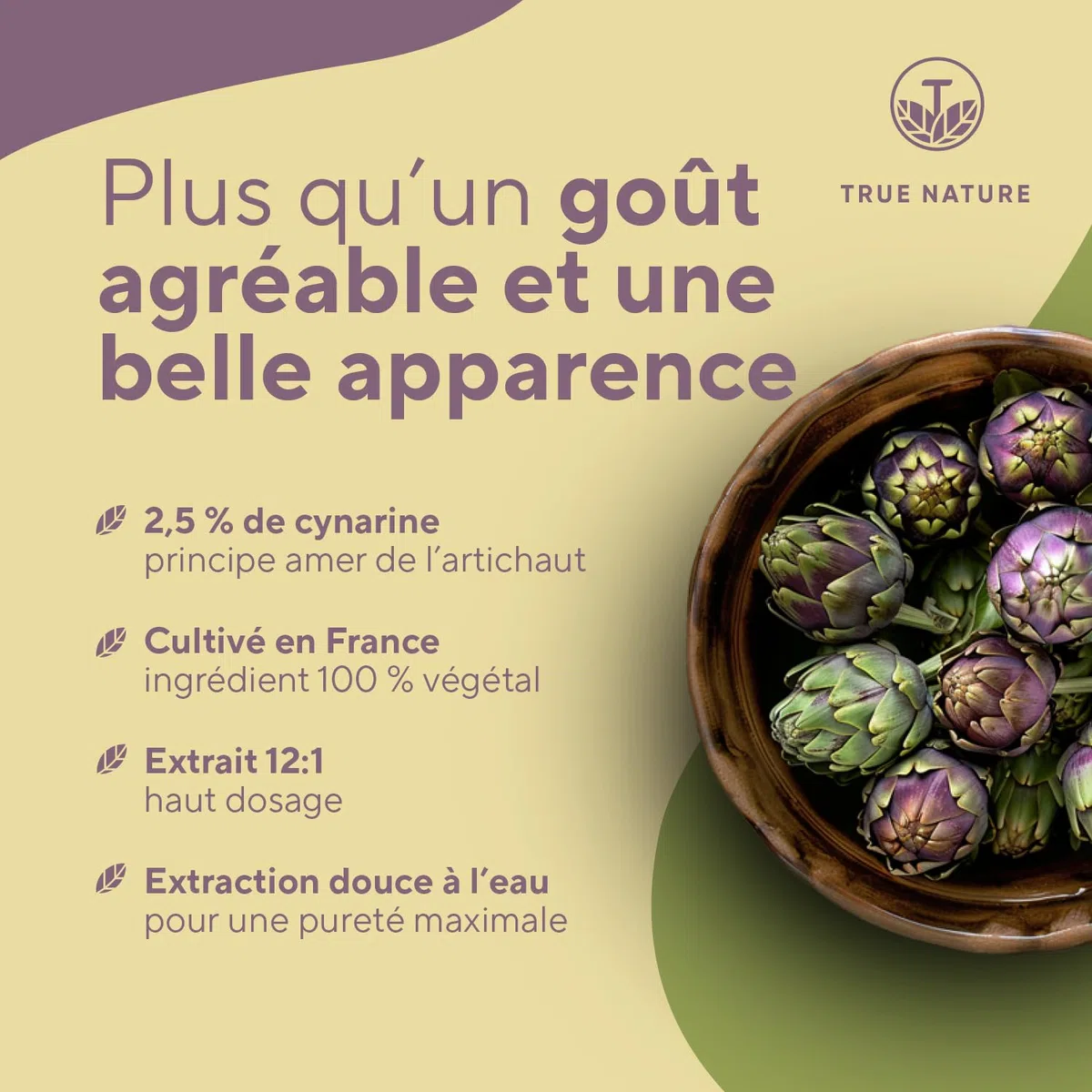 Extrait d'Artichaut Français - 2.400mg avec 2,5% Cynarine - 300 Gélules (2,5 mois) - Confort Digestif, Foie & Détox - Vegan - Sans: Additifs, Lactose & Gluten - TRUE NATURE